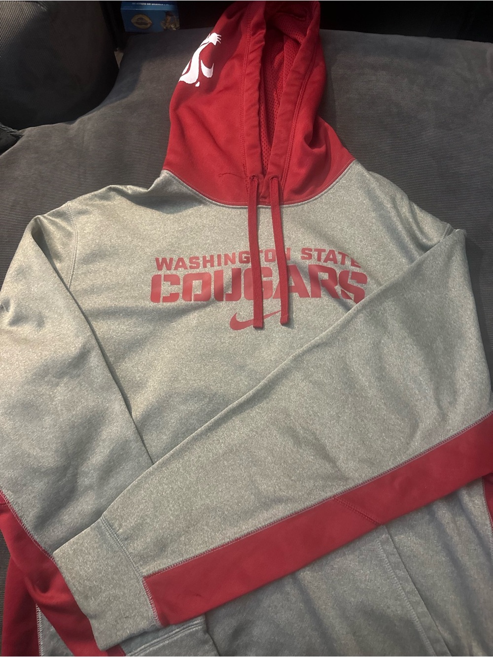 Men's Hooded Athletic Sweatshirt